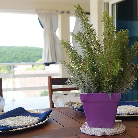 Meditation Apartment Vela Luka